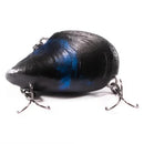 The Muss Blue Black