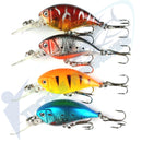 Bream Hardbodies