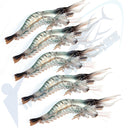 Green Shrimp Soft Plastic Fishing Lures